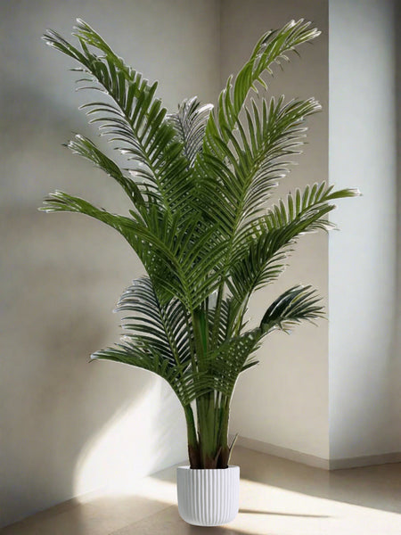 Artificial Palm Tree Plant - 170cm